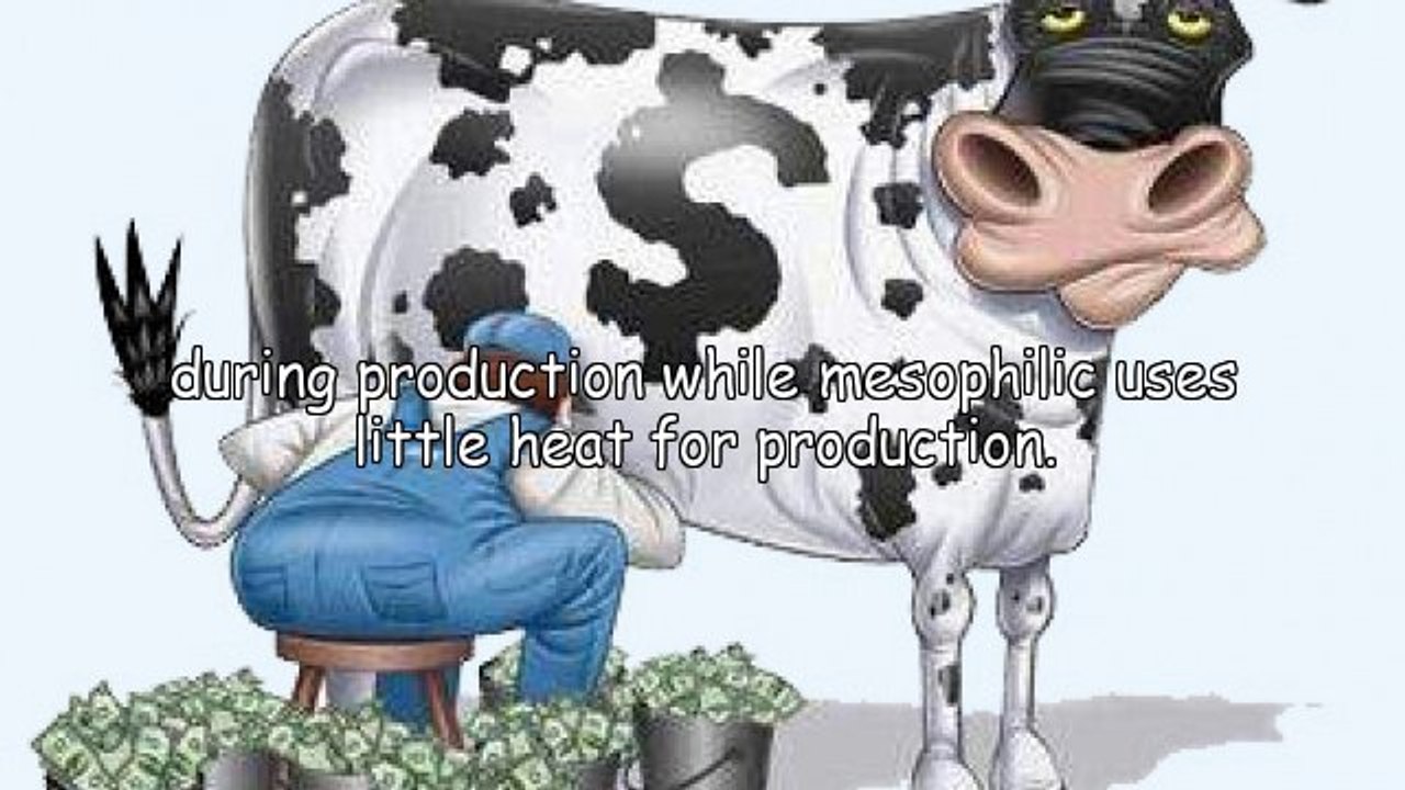 Knowing How To Make Raw Milk Yogurt