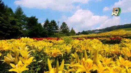 Evrimciler bilimsel delillerle değil, süslü kelimelerle teorilerini kanıtlamaya çalışırlar (4.Bölüm)