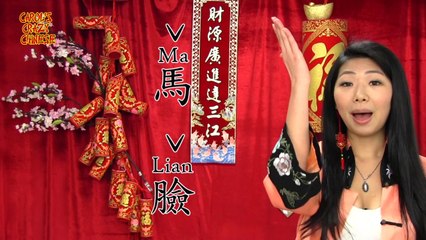Carol's Lunar New Year Crazy Chinese!