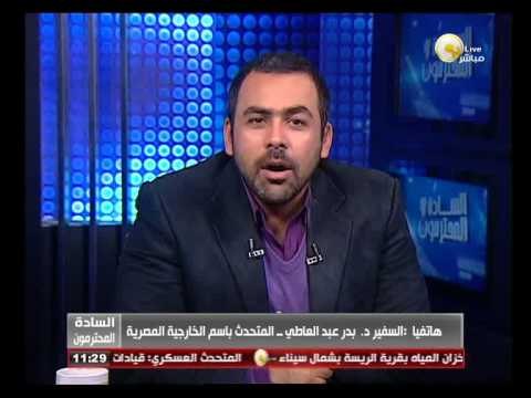 السادة المحترمون: الخارجية المصرية تنتهي من كافة الإجراءات الخاصة بعملية الاستفتاء في الخارج