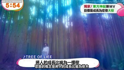 [TWINSHINKI中字] 140204 東方神起 TREE OF LIFE MV @ MEZAMASHI