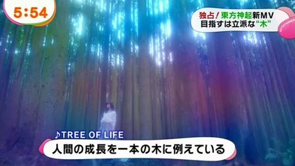 TVXQ Preview Tree Of Life PV 140204 めざましテレビ 東方神起