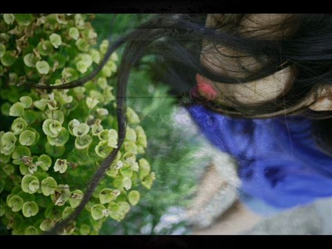 Bruno THIEVET : 2013 en 50 photos