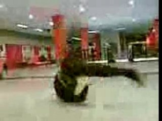 Coupole session bboy dawid