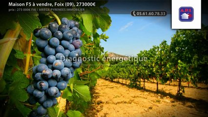 Maison F5 à vendre, Foix (09), 273000€