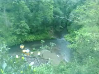 バリ島パクリサン川、カーチャーター、お得の車チャーター