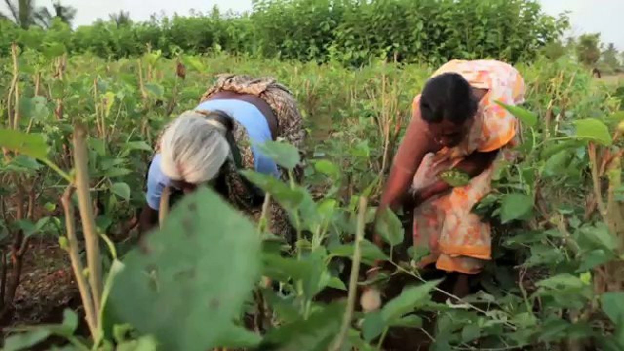 Mahindra Rise- Building Homes in Rural India