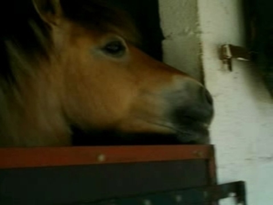 juliette !!!_1