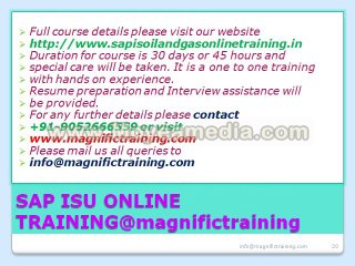 sap is utilities online training and placement