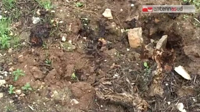 TG 03.02.14 Tragedia della strada sulla Terlizzi-Molfetta. Perdono la vita tre giovanissime.