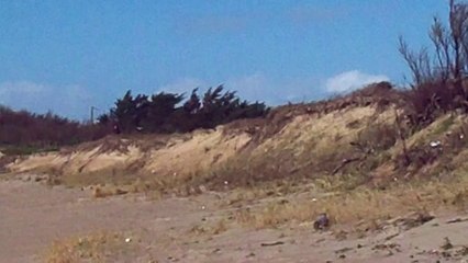 Plage de Domino... l'Ile d'Oléron 2014