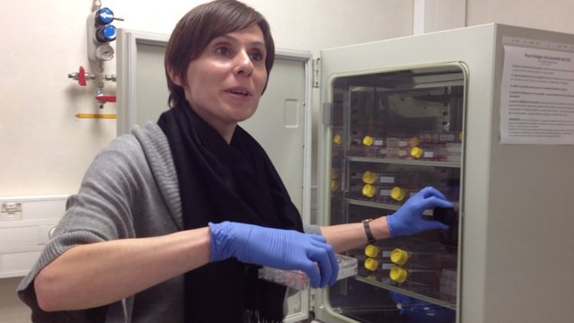 Recherche contre le cancer colorectal