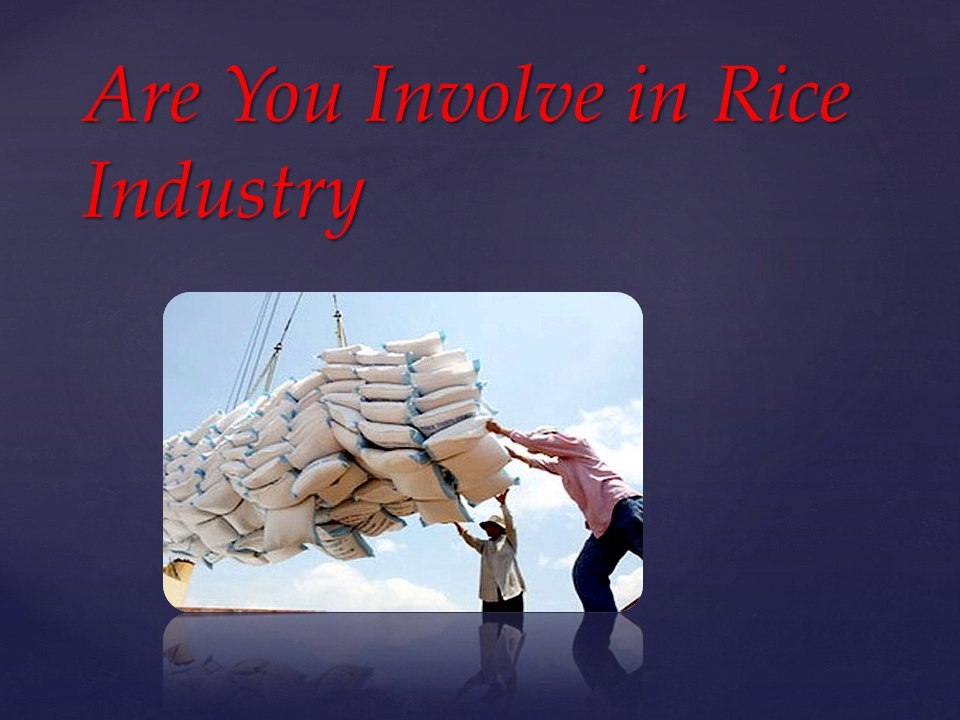 Rice Industry Information