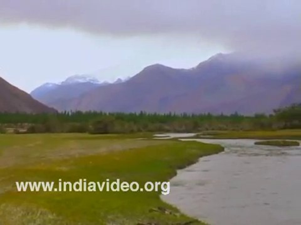 Nubra Valley Ladakh