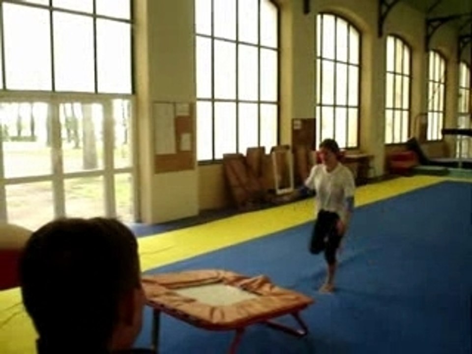 le saut