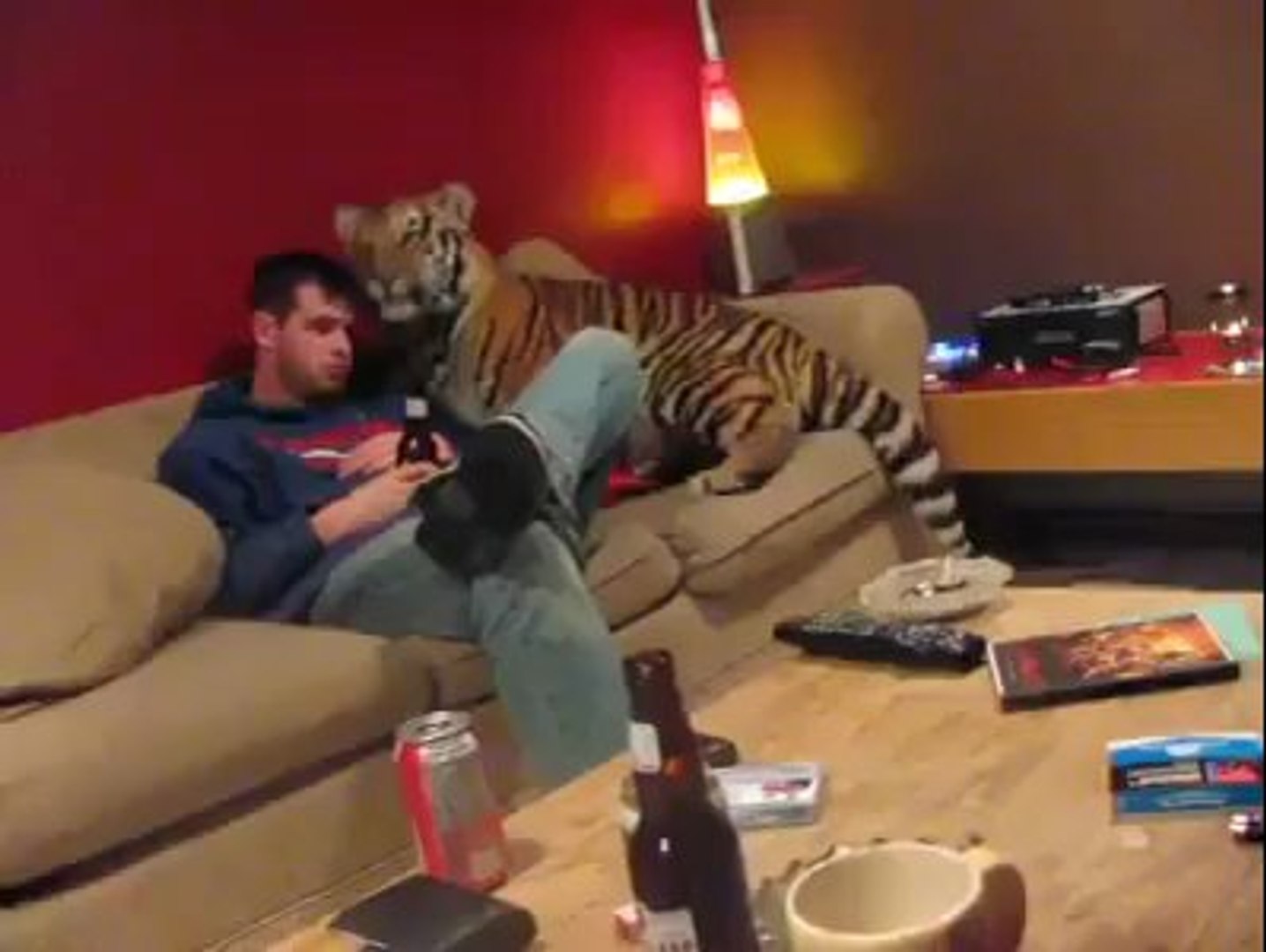 ⁣Tiger as Pet! | www.itblow.com