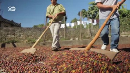 Mexico's Tacaná Volcano | Global Ideas