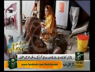 Regional News Headlines 05pm February 04, 2014