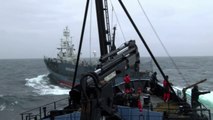 Sea Shepherd vessel collides with Japanese ship