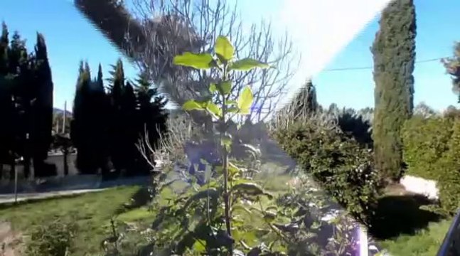 VENTE VILLA T5 LE BEAUSSET IMMOBILIER sur 1500 m2 terrain - Rare a la vente