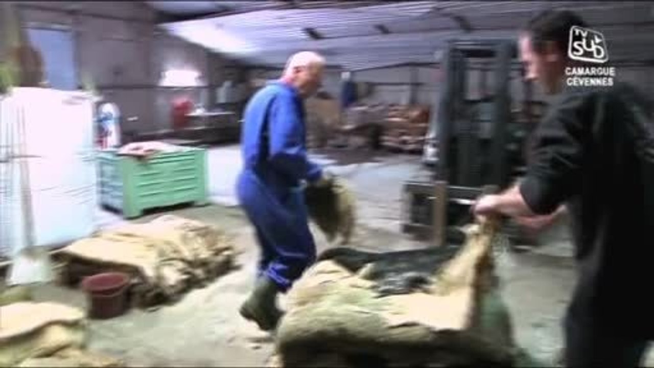 Peaux : Les coulisses de l’entreprise de Julien Perry (Gard)