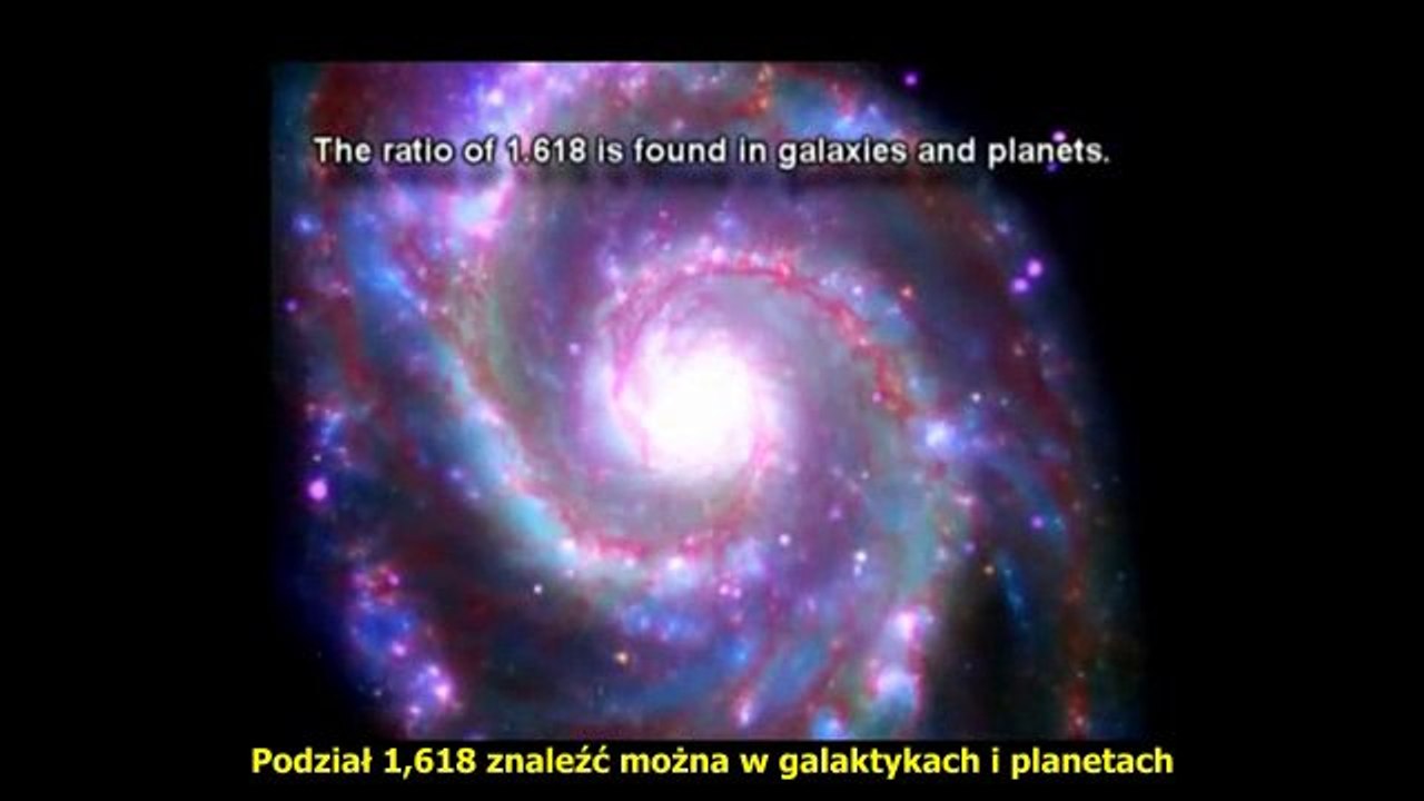 Ancient Knowledge napisy PL cz.2 Ciąg Fibonacciego , Zlota prporcja, Fi w Naturze, DNA, Odcisk Boga