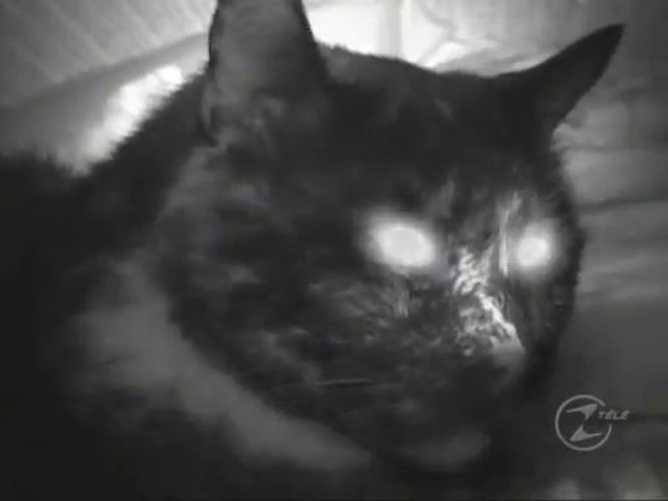 Les traqueurs de fantômes [VFQ] - S01E10 - Résidence des Johnson & Maison Zubrowski [FiNAL]