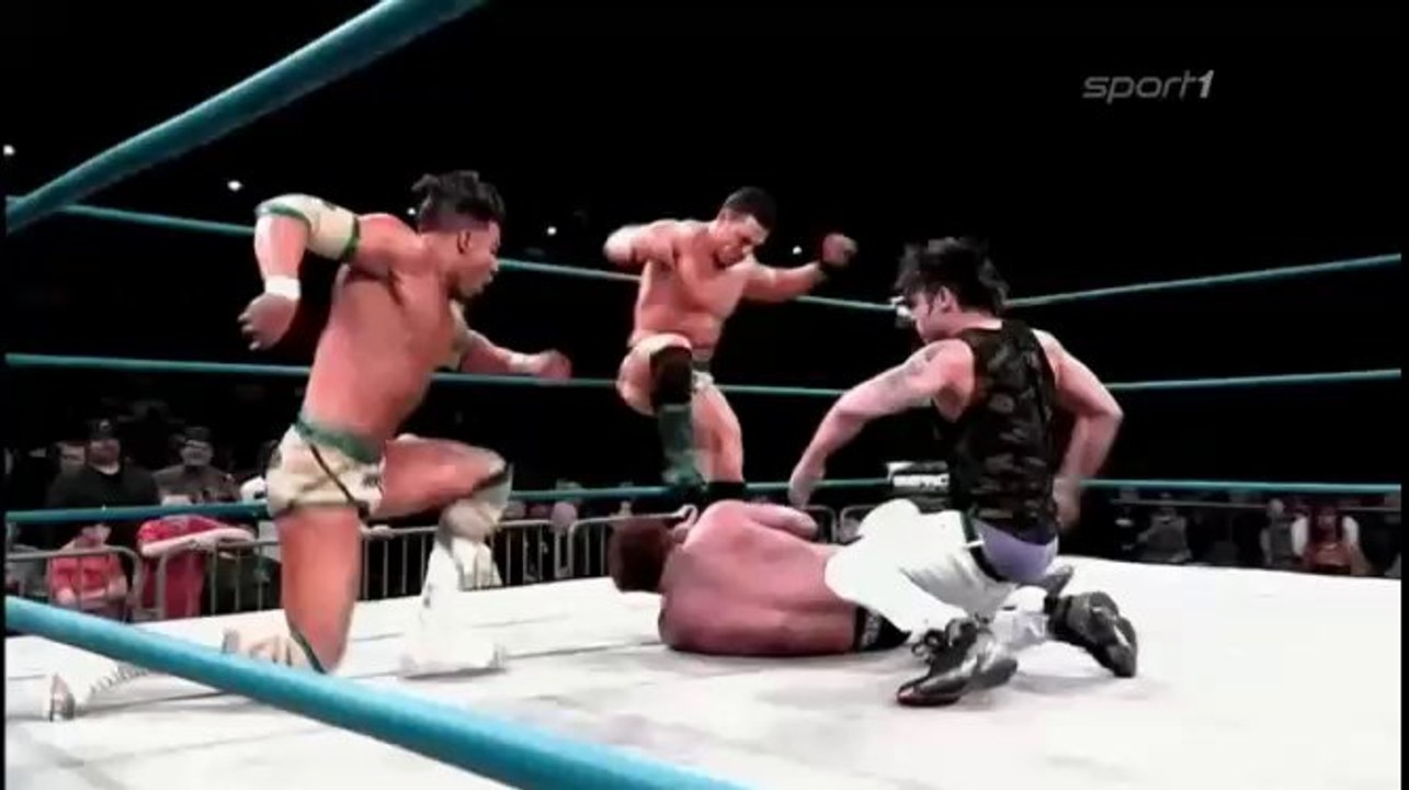 TNA The Monster Aybss 2014 | TNA FansBook |