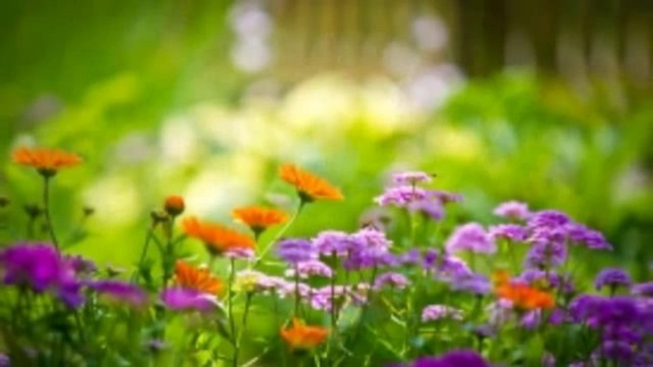 Classical Music Vol.14 Antonio Vivaldi  "Four Seasons"  (Spring)