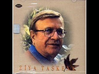 Ziya Taşkent - Seninle Öylesine Doluyum ki