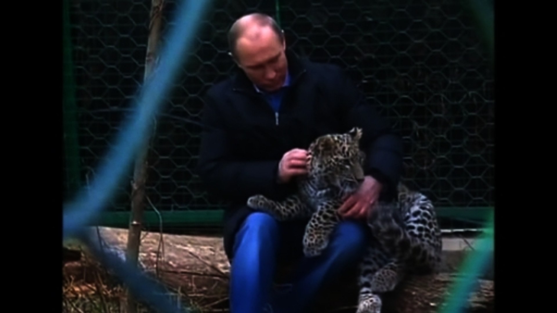 ⁣Putin plays with endangered snow leopard