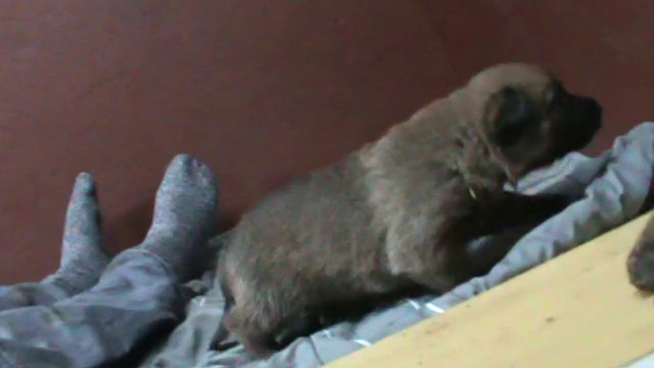 Be Aware G's - Getting started!