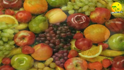 Désign intelligent et la théorie de l'évolution. Extrait_la voie eternelle_Islam