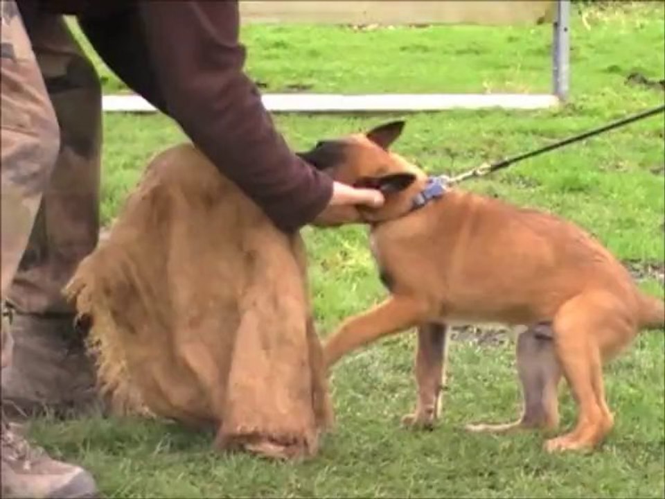 Ray-Ban des Plaines de Thiérache