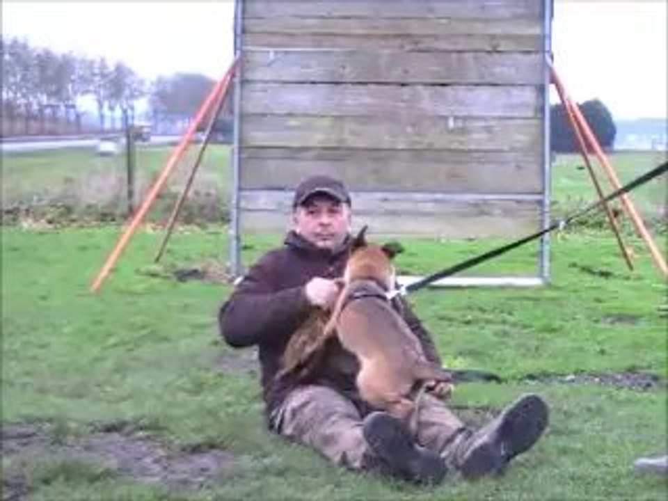 Iron du Dragon Rouge de Jupiter