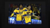 Ver Tigres vs Correcaminos En Vivo 4 de Febrero del 2014 Copa MX