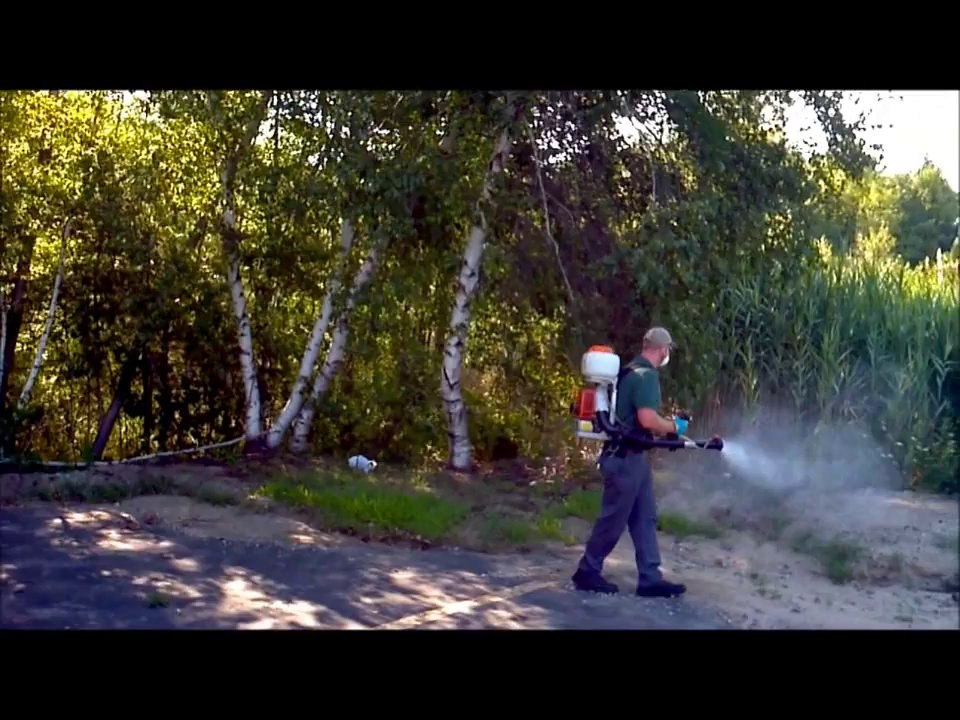 Mosquito Control Boston  - All Must  Will Die When You Call ALLPEST Today  1-800-714-4480!