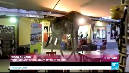 Sur le Net - Russie : une ONG s'inquiète des violences homophobes