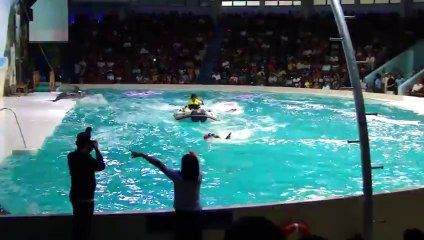 Dubai Dolphin Show in Creek Park with DUA & TAHA part 1