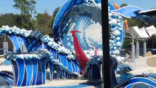 Dolphin and Beluga Whales Show called Blue Horizons at SeaWorld, Orlando, Florida on Dec 28 2011