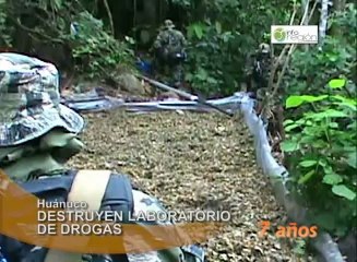 Скачать видео: En Huánuco, agentes especializados destruyen un laboratorio clandestino de drogas e insumos químicos en el sector el Porvenir