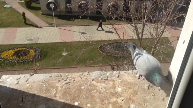 etrafında toplayan diyarbakır evden eve nakliyat diyarbakirevdenevenakliyat.web.tr