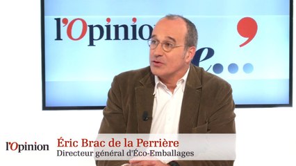 L’Opinion de Eric Brac de la Perrière