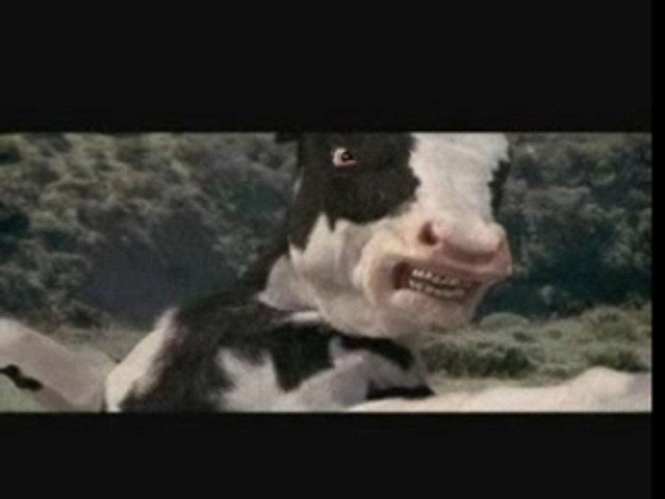 vache ninja
