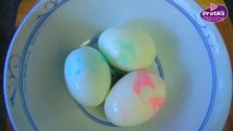 Cuisine - Comment faire des œus durs colorés - Entrée