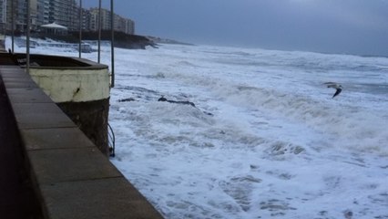 L'écume de mer a envahi le remblai