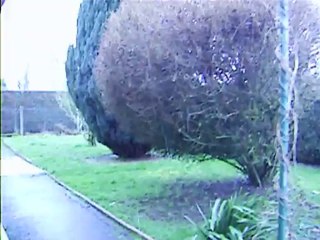 il tombe de la neige fondue