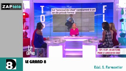 Download Video: Zap télé: Les policiers américains font feu de tout bois, le lancer de chat ne deviendra pas sport national