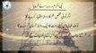 Hadees About Education :: Islami Jamiat Talaba Pakistan :: Taleem Tameer Sy