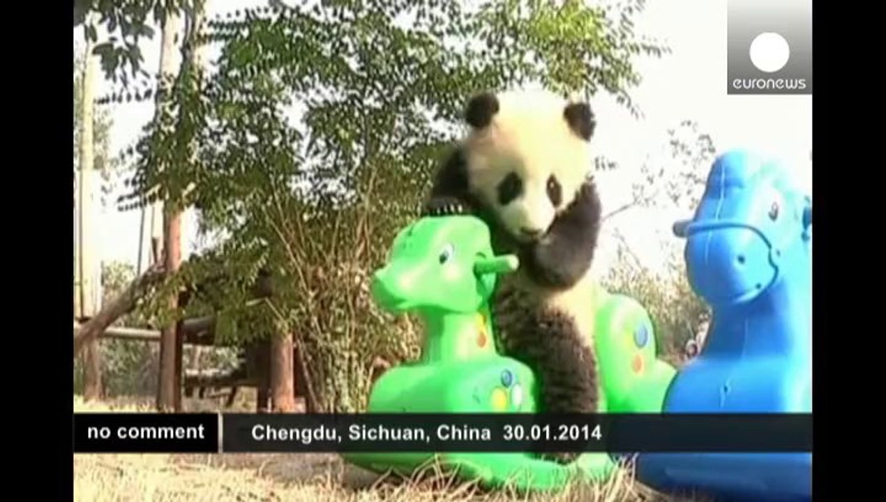 Chine